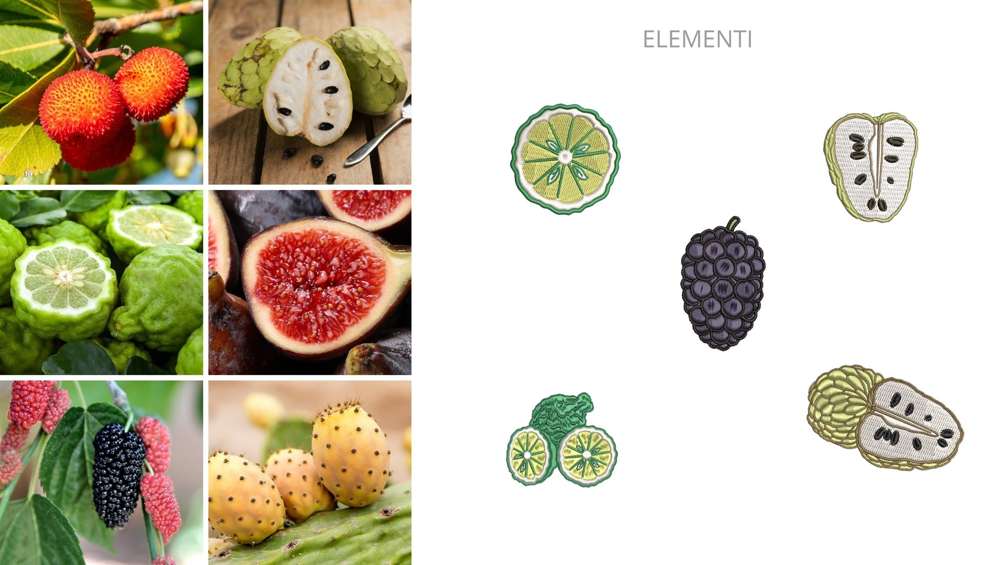I frutti della Calabria, dalle foto ai disegni per il ricamo: bergamotto, annona e gelso